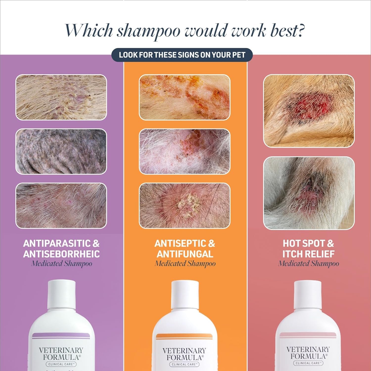 Clinical Care Antiseptic and Antifungal Medicated Shampoo for Dogs &amp; Cats, 16 Fl Oz – Helps Alleviate Scaly, Greasy, Red Skin – Paraben, Dye, Soap-Free (1 Pack)