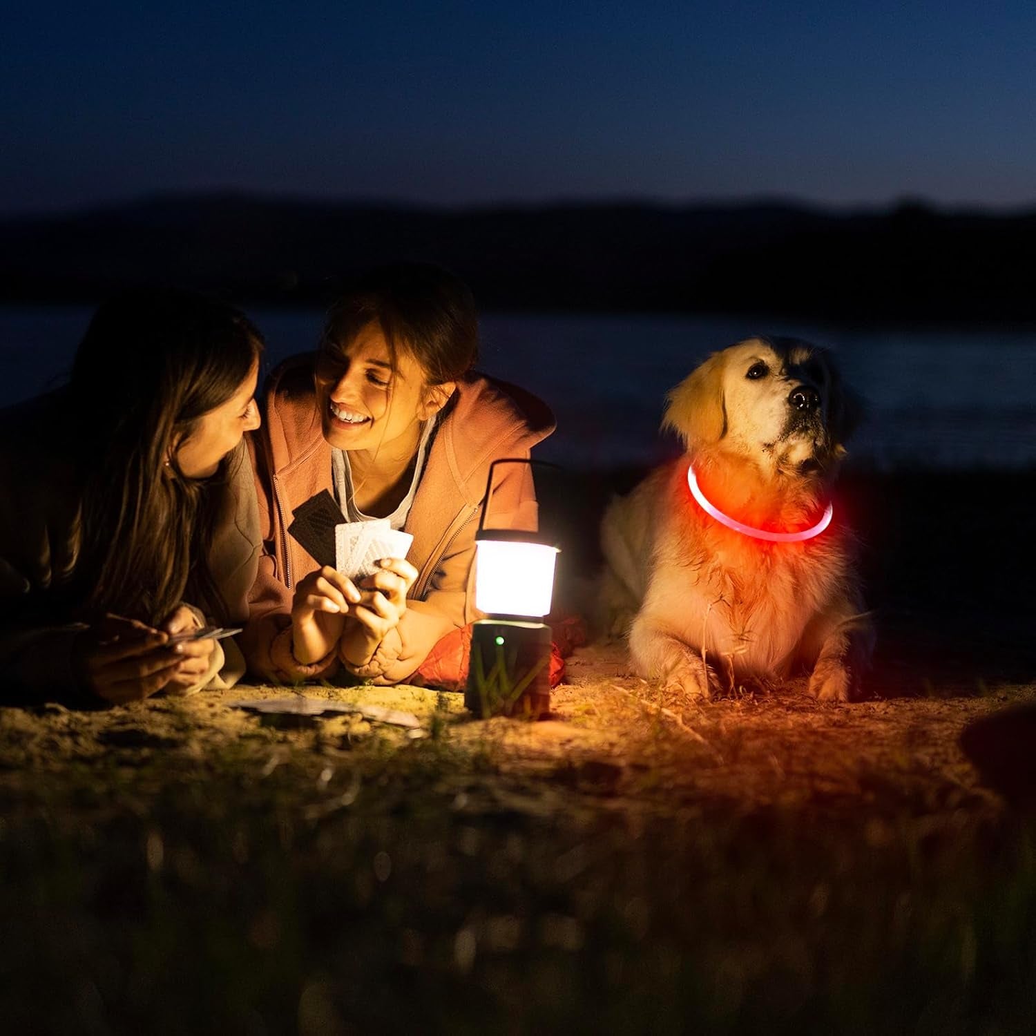 NightGlow LED Dog Collar (Red) - USB-Rechargeable - Perfect for those night walks