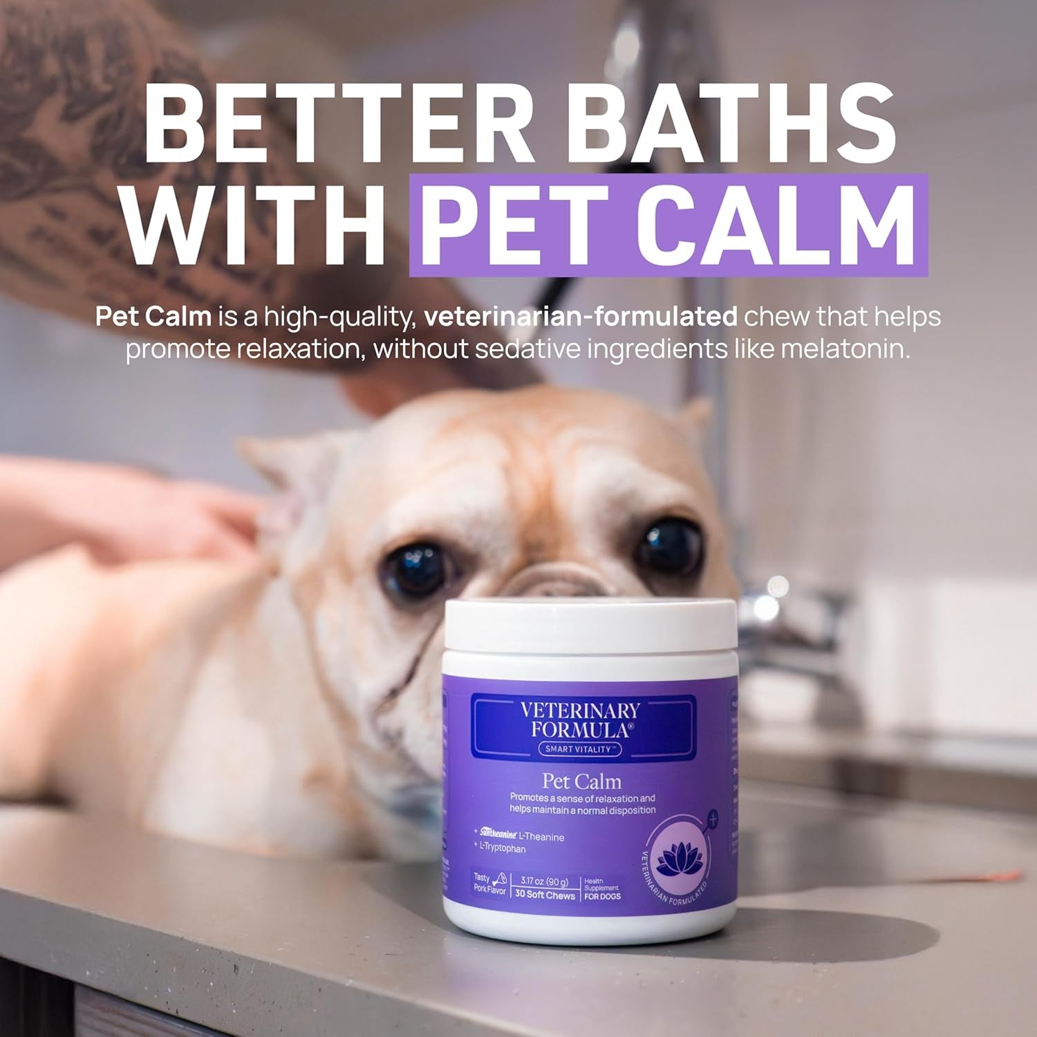 Clinical Care Antiseptic and Antifungal Medicated Shampoo for Dogs &amp; Cats, 16 Fl Oz – Helps Alleviate Scaly, Greasy, Red Skin – Paraben, Dye, Soap-Free (1 Pack)