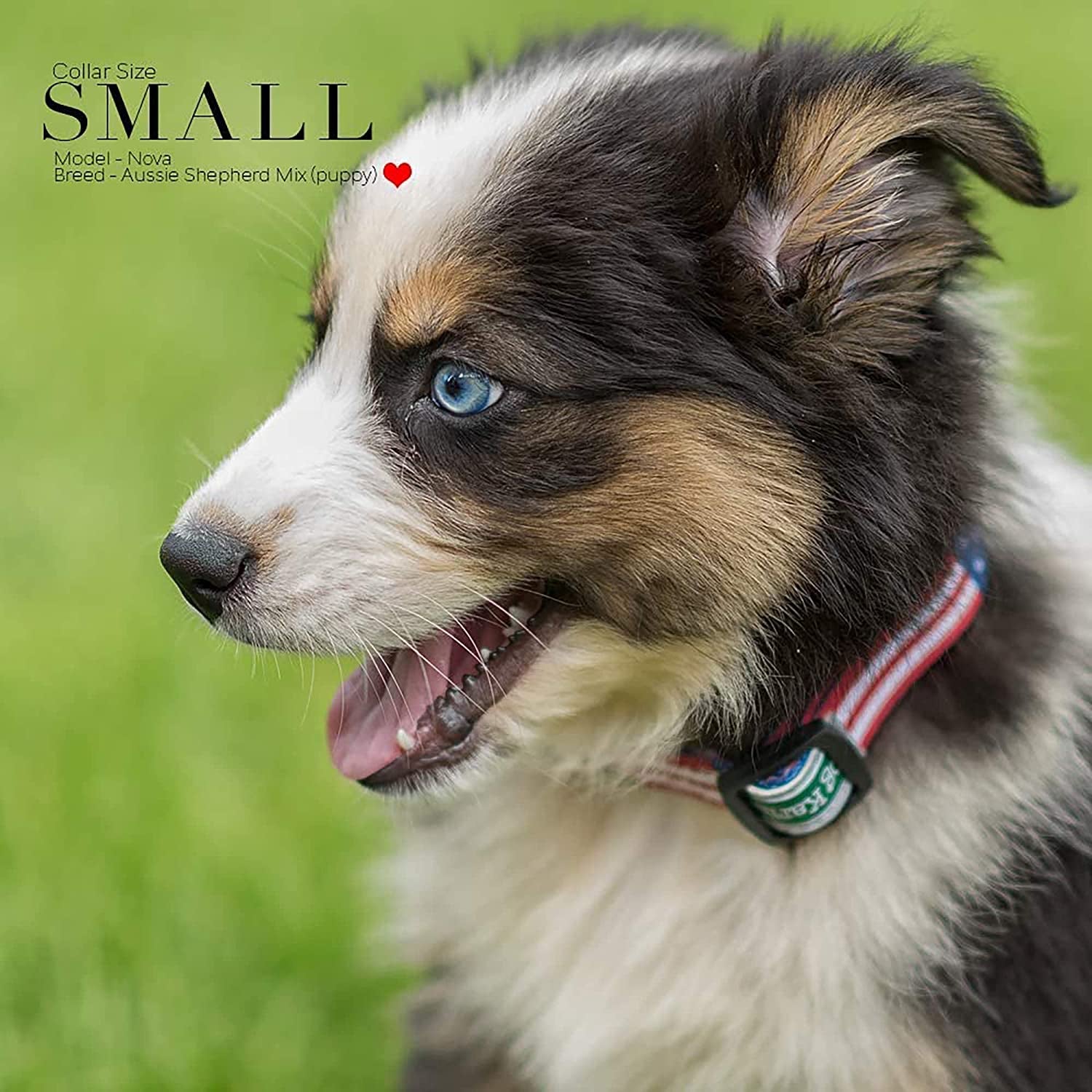 American Flag Dog Collar - Classic Design Available in 5 Sizes (Small)