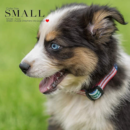 American Flag Dog Collar - Classic Design Available in 5 Sizes (Small)