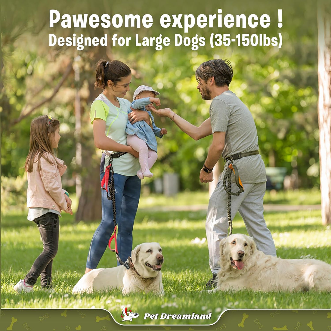 Exquisite Handsfree Dog Leash for Large Dogs. Ultimate Comfort &amp; Freedom for Walking and Hiking. Premium Quality, Durable &amp; Versatile Waist Belt. Your Dog Will Love This Running Leash.