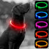 NightGlow LED Dog Collar (Red) - USB-Rechargeable - Perfect for those night walks